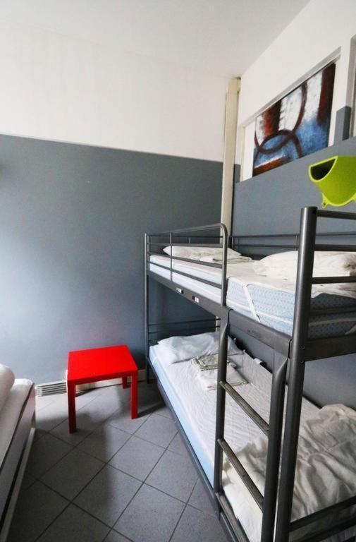 Koala Auberge de jeunesse *